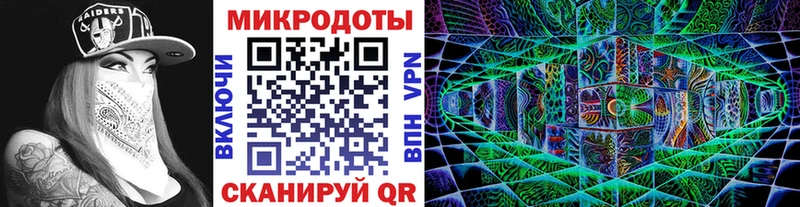 кракен как зайти  Александровск-Сахалинский  Псилоцибиновые грибы Psilocybe 